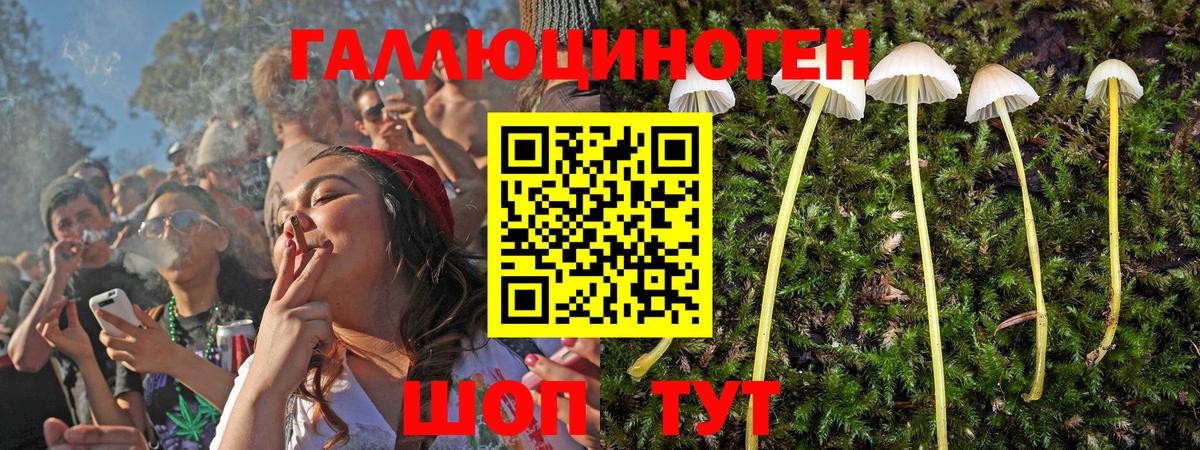 Людиново  Галлюциногенные грибы прущие грибы  Вход с VPN 