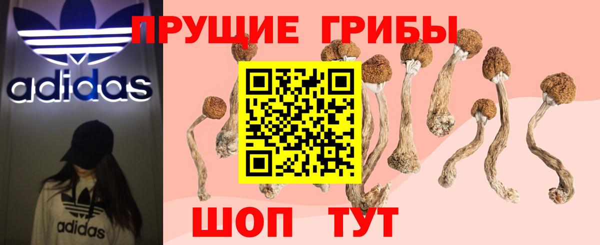 Галлюциногенные грибы Psilocybine cubensis Людиново